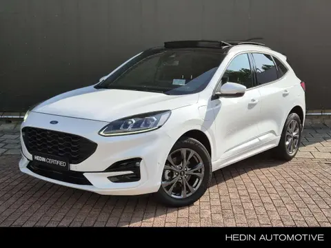 Used FORD KUGA Hybrid 2022 Ad 