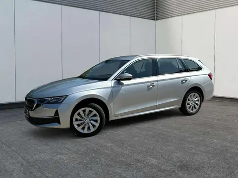 Used SKODA OCTAVIA Diesel 2024 Ad 