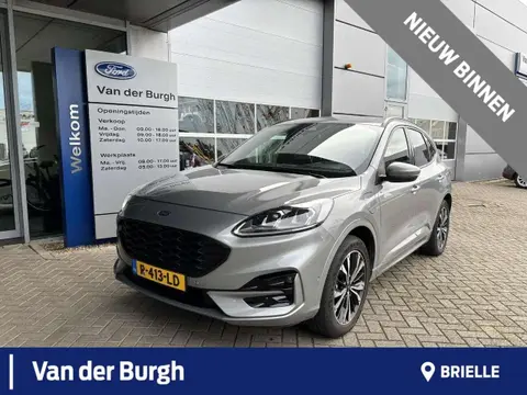 Used FORD KUGA Hybrid 2021 Ad 