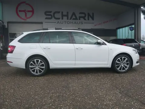 Used SKODA OCTAVIA Diesel 2019 Ad 