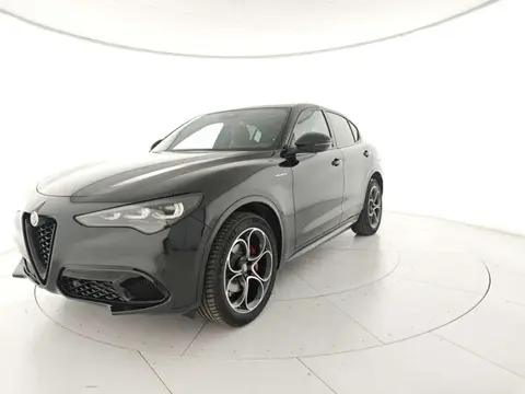 Annonce ALFA ROMEO STELVIO Diesel 2024 d'occasion 