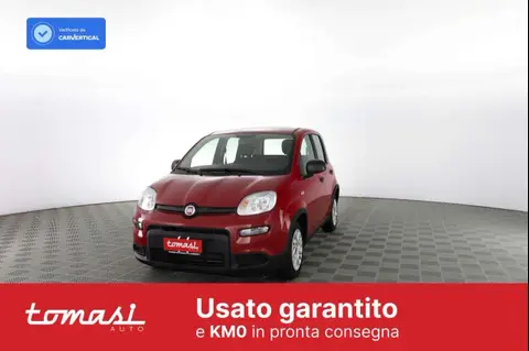 Annonce FIAT PANDA Hybride 2024 d'occasion 