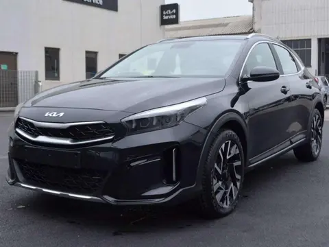 Used KIA XCEED Hybrid 2024 Ad 