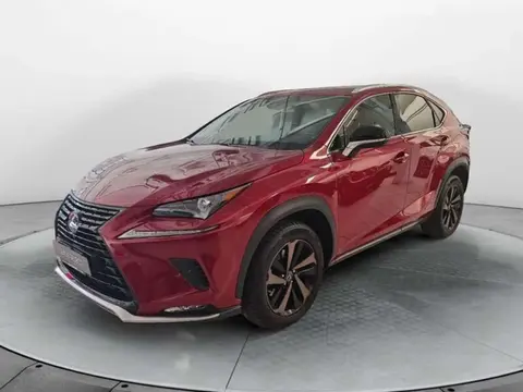 Used LEXUS NX Hybrid 2021 Ad 