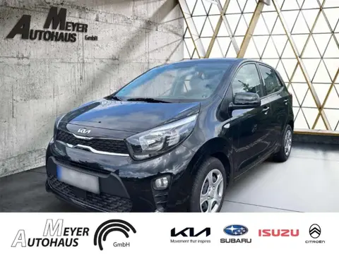 Annonce KIA PICANTO Essence 2024 d'occasion 