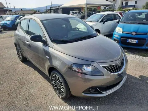 Used LANCIA YPSILON Hybrid 2024 Ad 