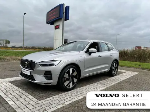 Annonce VOLVO XC60 Hybride 2023 d'occasion 