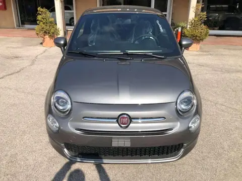 Used FIAT 500 Hybrid 2023 Ad 