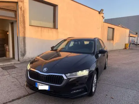 Annonce SKODA OCTAVIA Diesel 2021 d'occasion 