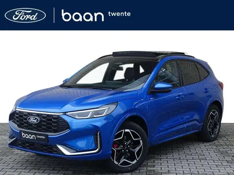 Annonce FORD KUGA Hybride 2024 d'occasion 