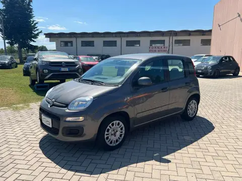 Annonce FIAT PANDA Hybride 2022 d'occasion 