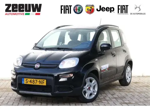 Used FIAT PANDA Petrol 2023 Ad 