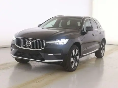 Used VOLVO XC60 Hybrid 2024 Ad 