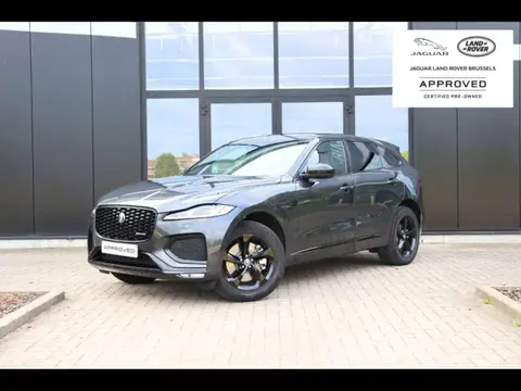 Annonce JAGUAR F-PACE Hybride 2024 d'occasion 