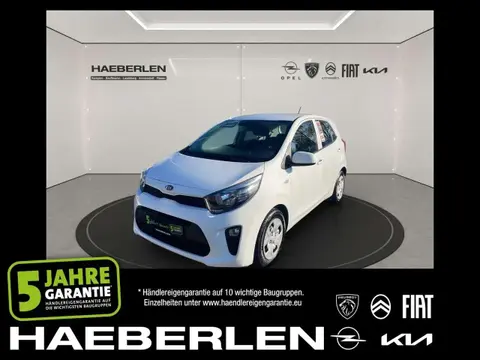 Used KIA PICANTO Petrol 2020 Ad 