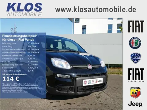 Used FIAT PANDA Petrol 2024 Ad 