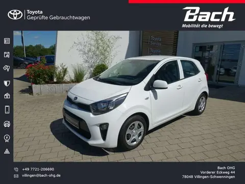 Used KIA PICANTO Petrol 2019 Ad 