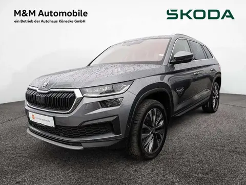 Used SKODA KODIAQ Diesel 2022 Ad 