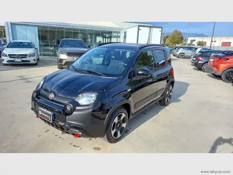 Annonce FIAT PANDA Essence 2024 d'occasion 