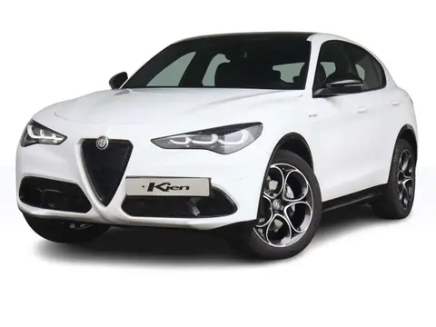 Used ALFA ROMEO STELVIO Petrol 2023 Ad 