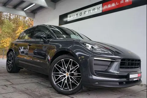 Used PORSCHE MACAN Petrol 2022 Ad 