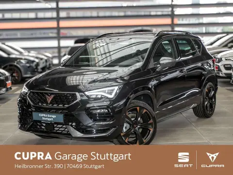 Annonce CUPRA ATECA Essence 2024 d'occasion 