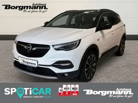 Used OPEL GRANDLAND Hybrid 2021 Ad 