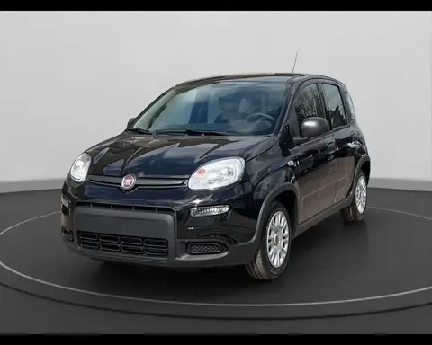 Used FIAT PANDA Hybrid 2024 Ad 