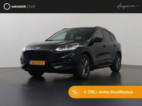 Annonce FORD KUGA Hybride 2022 d'occasion 