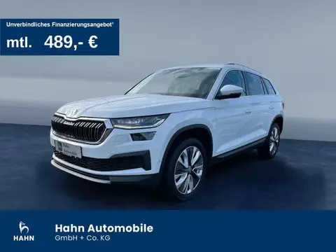 Used SKODA KODIAQ Petrol 2023 Ad 