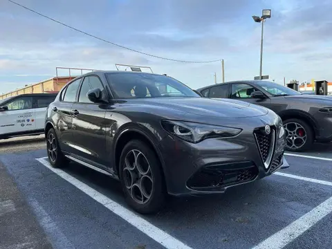 Used ALFA ROMEO STELVIO Diesel 2023 Ad 