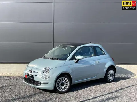 Used FIAT 500 Petrol 2023 Ad 