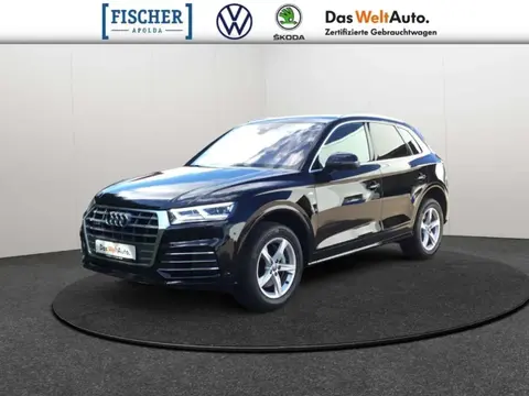 Used AUDI Q5 Diesel 2020 Ad Germany