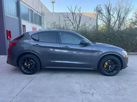 Used ALFA ROMEO STELVIO Diesel 2021 Ad 