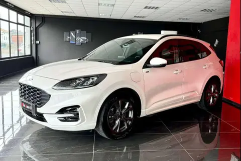 Annonce FORD KUGA Hybride 2020 d'occasion 