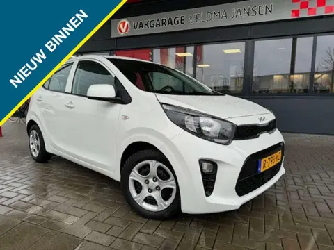 Used KIA PICANTO Petrol 2022 Ad 