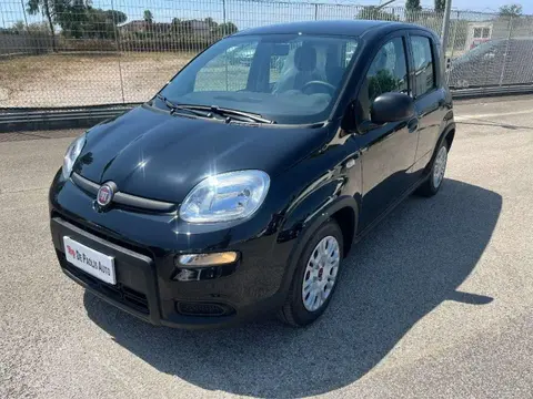 Used FIAT PANDA Hybrid 2024 Ad 