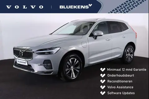 Annonce VOLVO XC60 Hybride 2023 d'occasion 