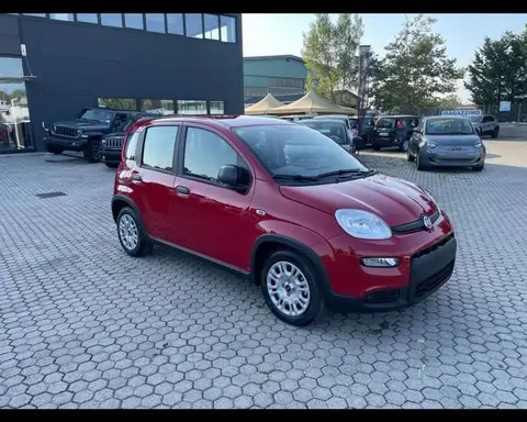 Used FIAT PANDA Hybrid 2024 Ad 