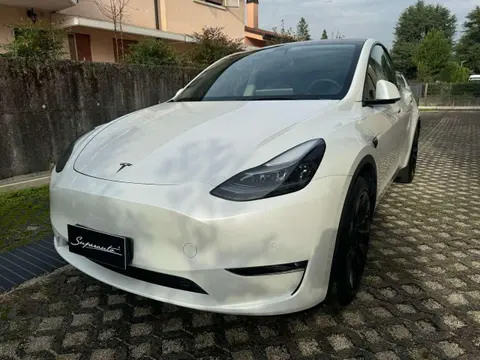 Used TESLA MODEL Y Electric 2021 Ad 