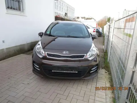 Used KIA RIO Petrol 2015 Ad 