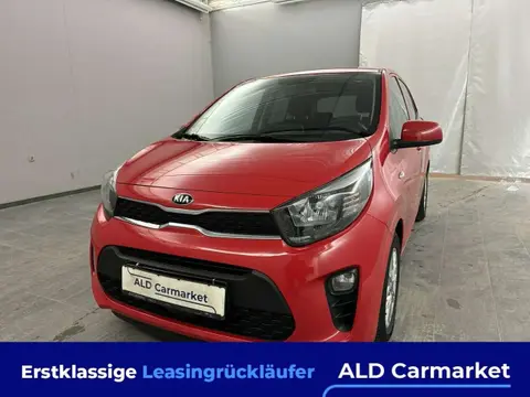 Annonce KIA PICANTO Essence 2021 d'occasion 