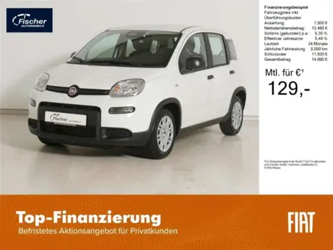 Used FIAT PANDA Petrol 2024 Ad 