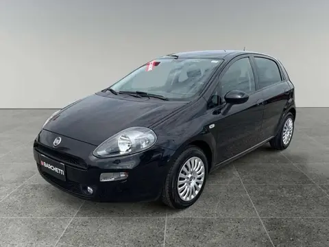 Used FIAT PUNTO Diesel 2017 Ad 