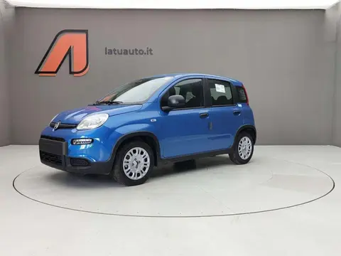 Annonce FIAT PANDA Hybride 2024 d'occasion 