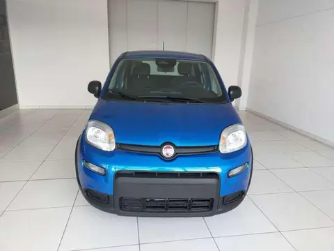 Annonce FIAT PANDA Hybride 2024 d'occasion 