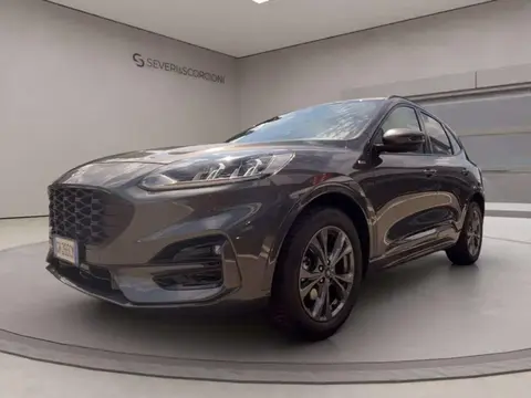 Used FORD KUGA Hybrid 2022 Ad 