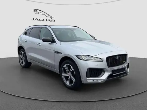 Used JAGUAR F-PACE Diesel 2020 Ad 