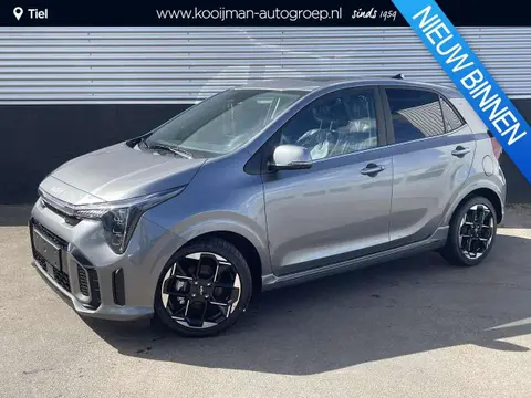 Used KIA PICANTO Petrol 2024 Ad 