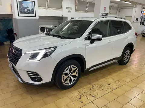 Annonce SUBARU FORESTER Hybride 2023 d'occasion 